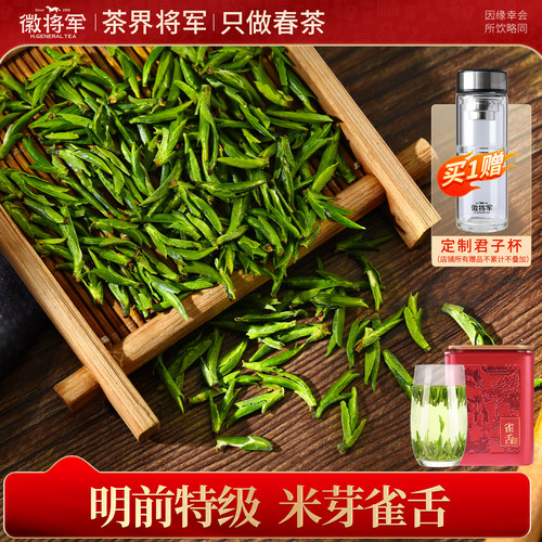 2026新茶早春特级雀舌250g