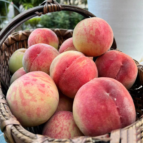 自己种的水蜜桃风味更足