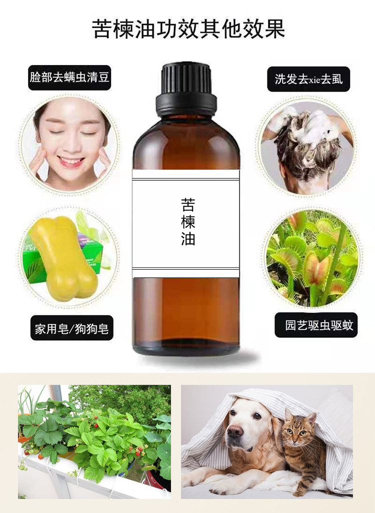 印度苦楝油 红蜘蛛 白粉虱 蓟马 白粉病 蚜虫 潜叶蝇  100ml