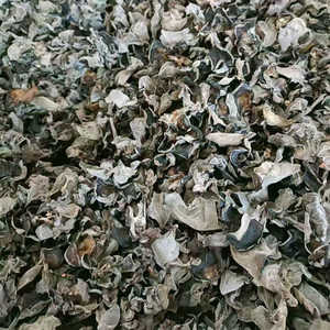 婺源丛林枫树黑木耳（200克包邮）