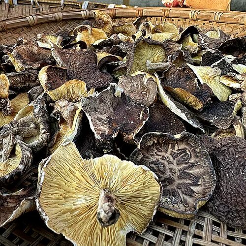 婺源野生干香菇100克包邮