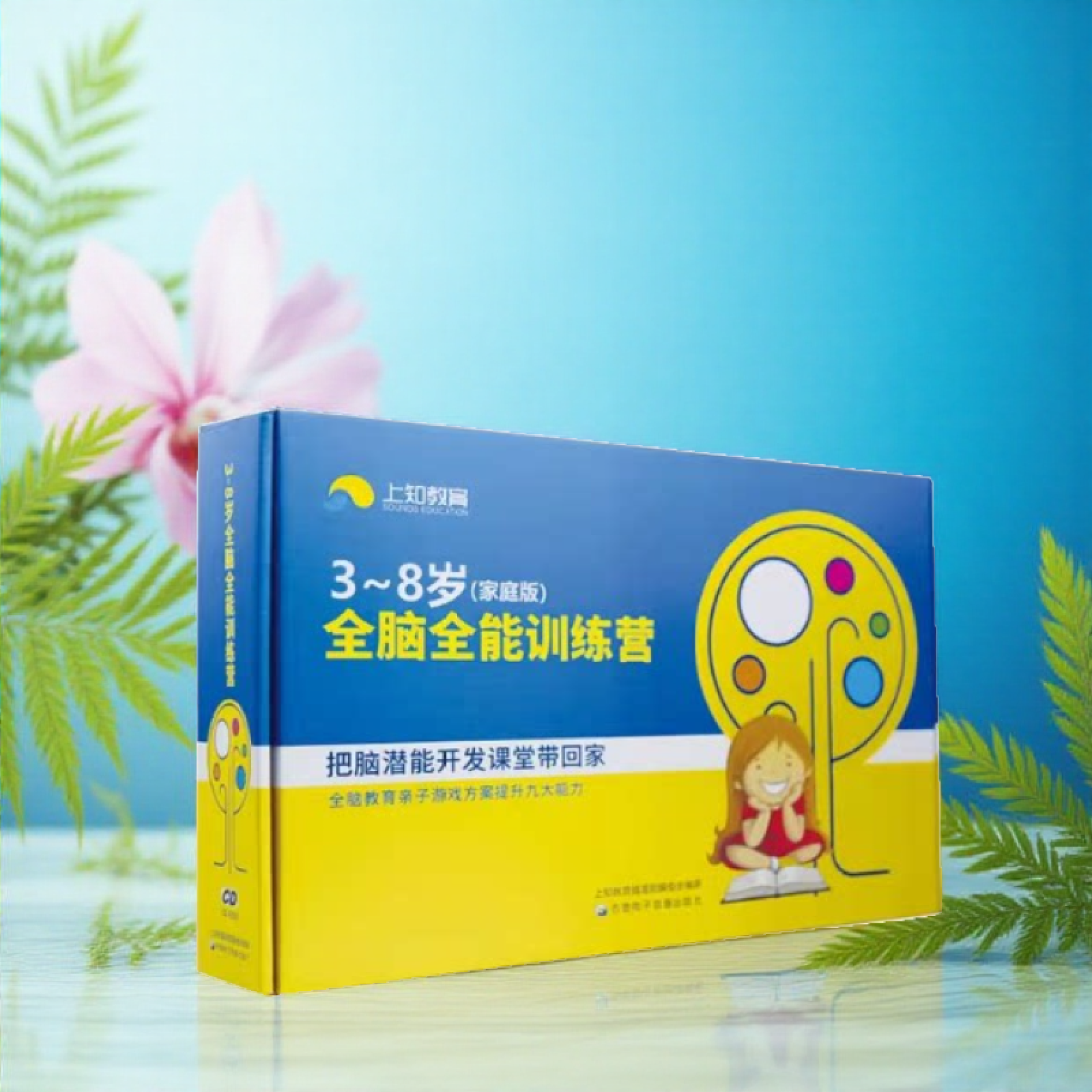 幼儿园教材教具全脑潜能开发