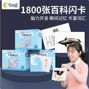 七田真百科闪卡国旗卡名胜古迹卡世界名画卡全脑记忆力训练幼儿园