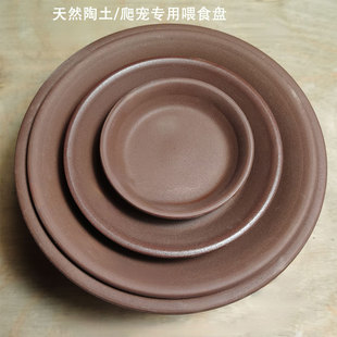 黄缘龟乌龟喂食盘半水龟安缘龟箱龟锯缘喂食龟苗专用餐盘食盆新品