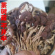神农架新货茶树菇干货农家自种茶树菇 不开伞菇菌菇类煲汤250g