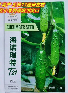 强雌水果黄瓜种子海诺瑞特T19黄瓜籽 高产大刺溜老品种春季阳台菜