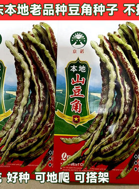本地山豆角种子无架花地豆老品种