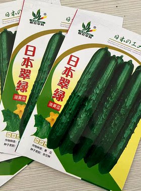 日本翠绿黄瓜种子强雌性肉质甜脆