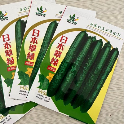 日本翠绿黄瓜种子强雌性肉质甜脆