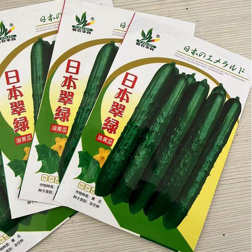 精选翠绿黄瓜种子强雌性肉质甜脆