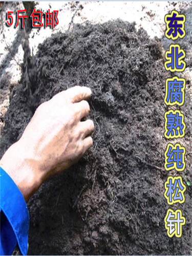 花卉君子兰松针腐殖土