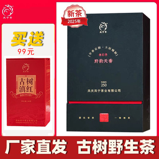野生古树红茶2025年新茶凤宁号野韵天香高端茶滇红茶250g云南茶叶