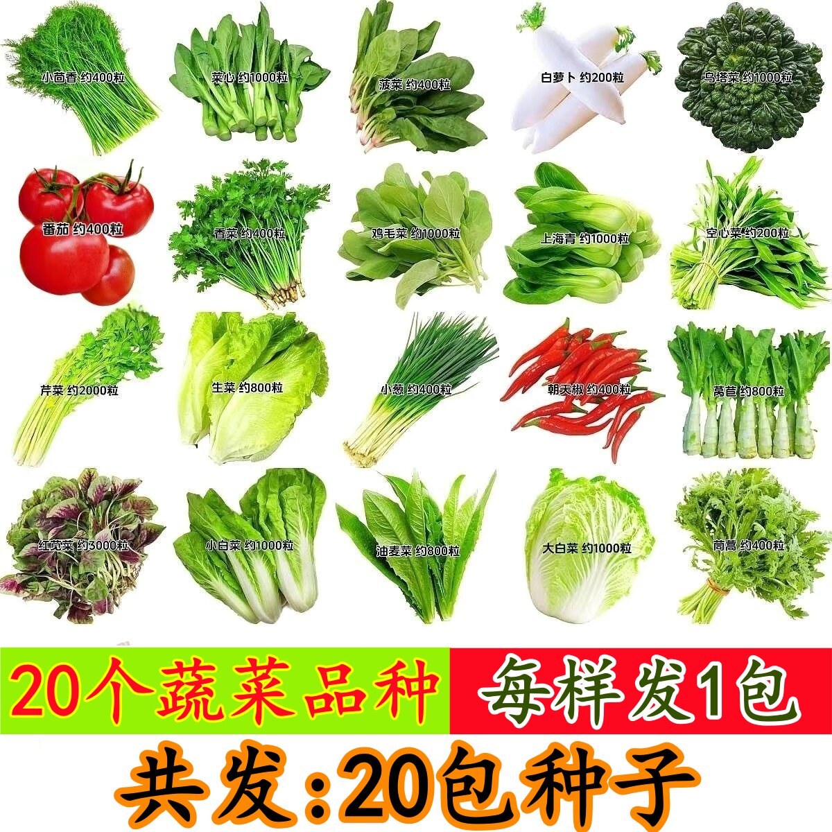 【新款】20种蔬菜种子组合装四季籽阳台庭院多种混合蔬菜种子大全图片