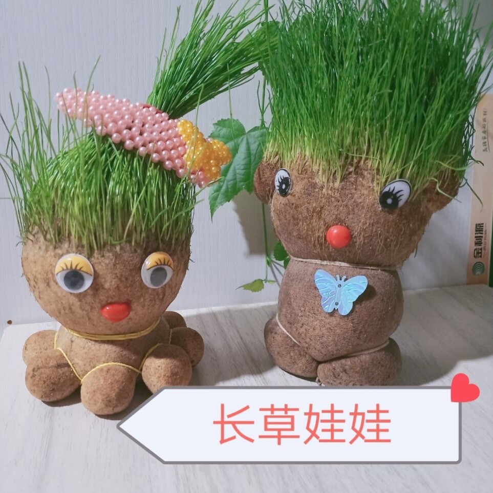 头上长草 价格 怎么样 图片