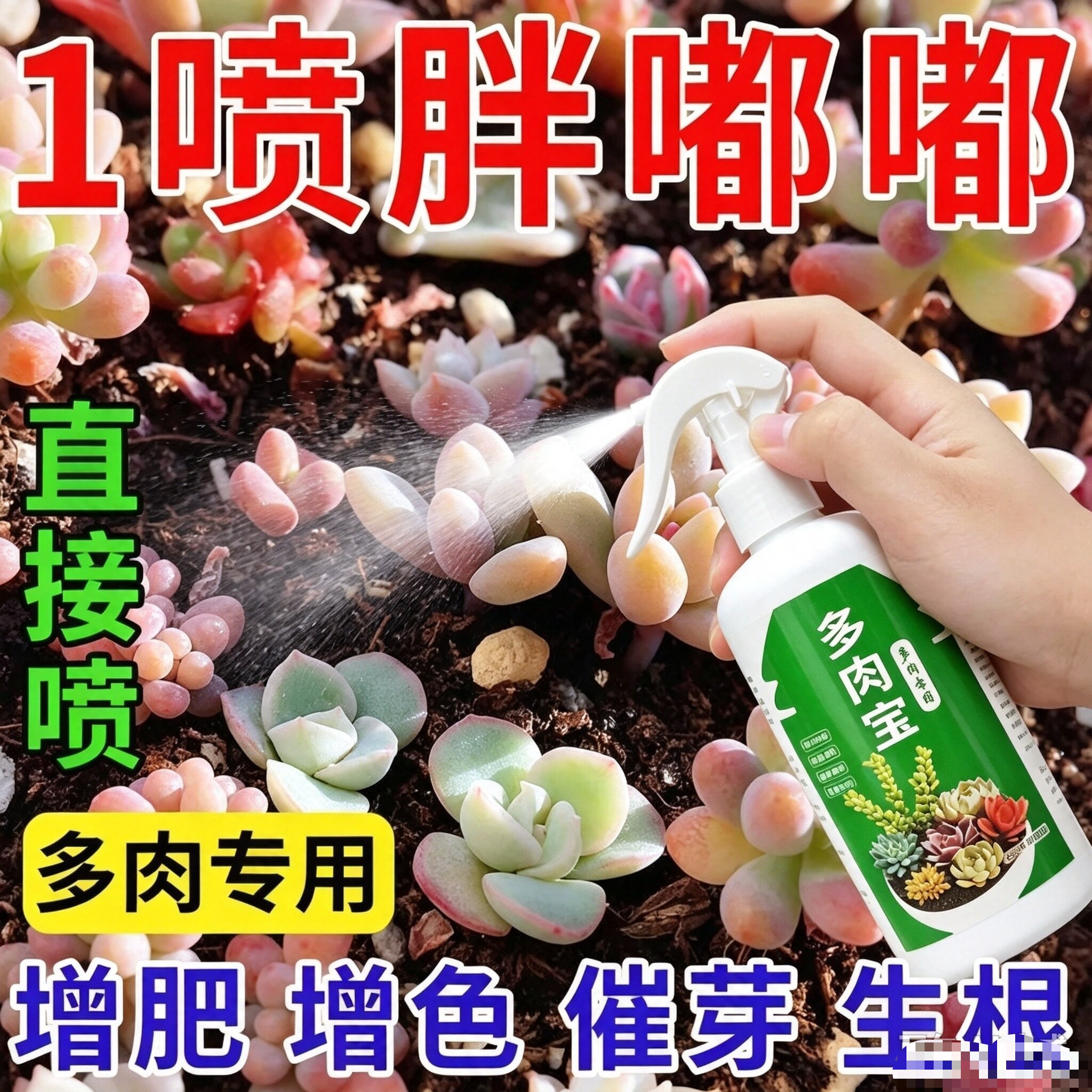 多肉专用营养液肥料爆芽