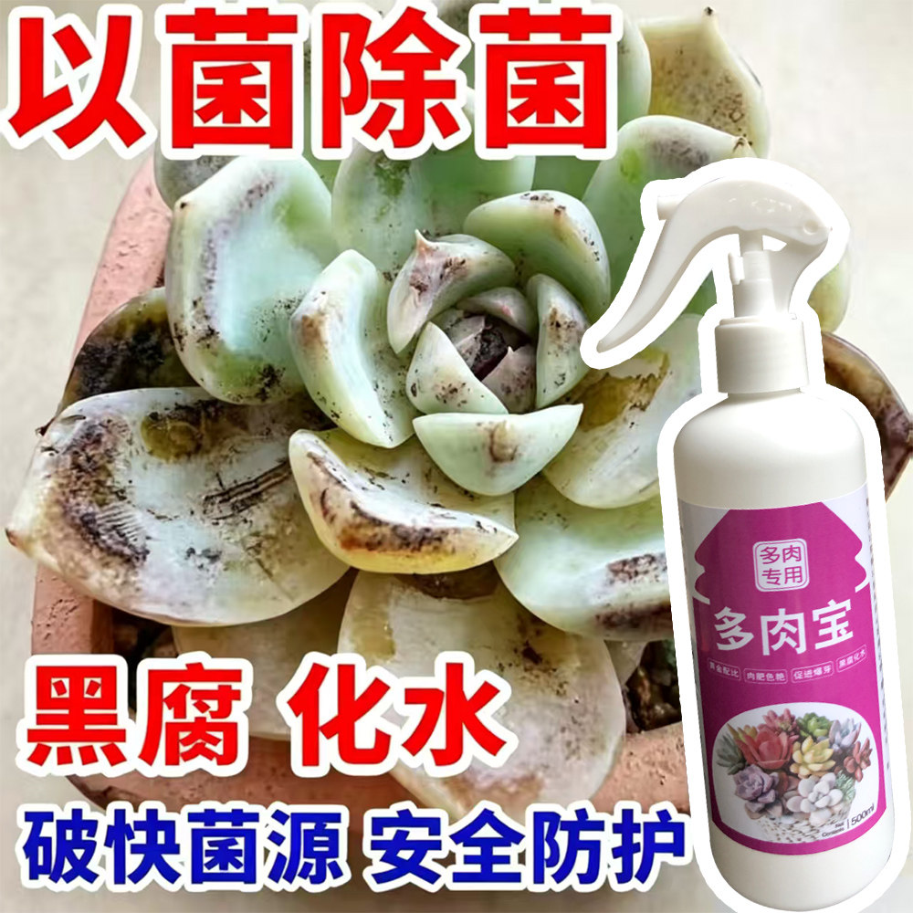 多肉黑腐度夏宝营养液杀菌