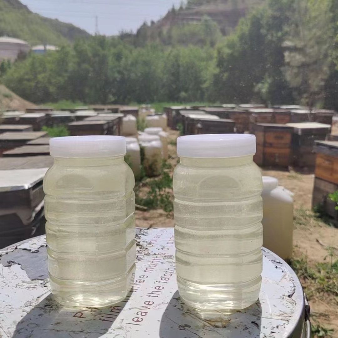 特级野生洋槐土蜂蜜纯正天然农家自产正宗儿童小瓶装无糖槐花蜂蜜