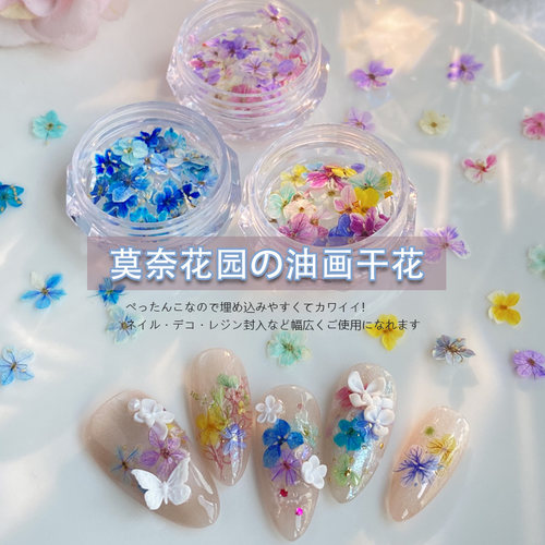 日式INS风美甲干花莫奈花园干花迷你五瓣花天然干花押花指甲装饰