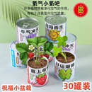 易拉罐植物盆栽种植种子蔬果花盲盒学生奖品儿童罐头小礼物礼品