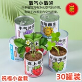 易拉罐植物盆栽种植种子蔬果花盲盒学生奖品儿童罐头小礼物礼品