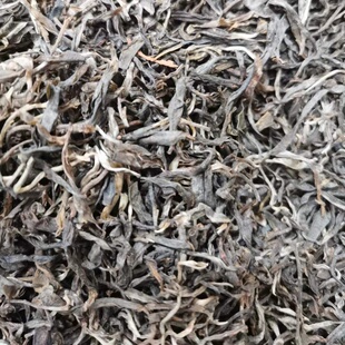 适重口的味『醉酽』2023约400年古树手工杀青  有班章烈韵 回甘