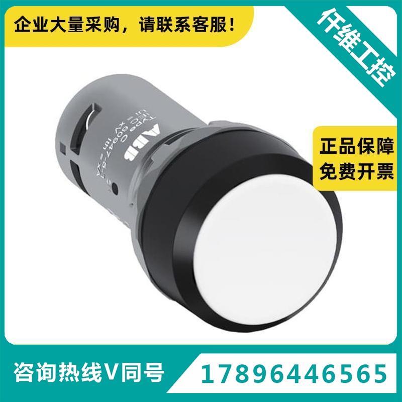 ABCP系列平头按钮1-10W1