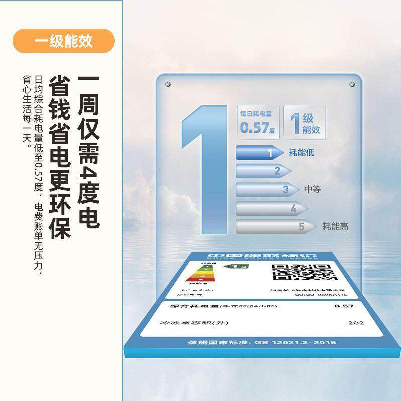 新.飞202L减霜一级能效冷藏冷冻单温冰柜BC/BD-202KAT/L