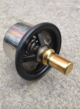 适用汕德卡豪沃MAX德龙X5000解放潍柴WP15天然气发动机节温器芯