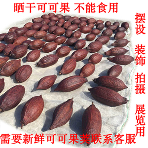 进口晒干天然生新鲜可可果鲜果可可豆原豆装饰巧克力可可果荚