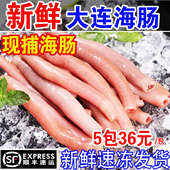 海肠鲜活冷冻海肠子特大海肠皮去头尾内脏烟台沙虫海鲜水产200克