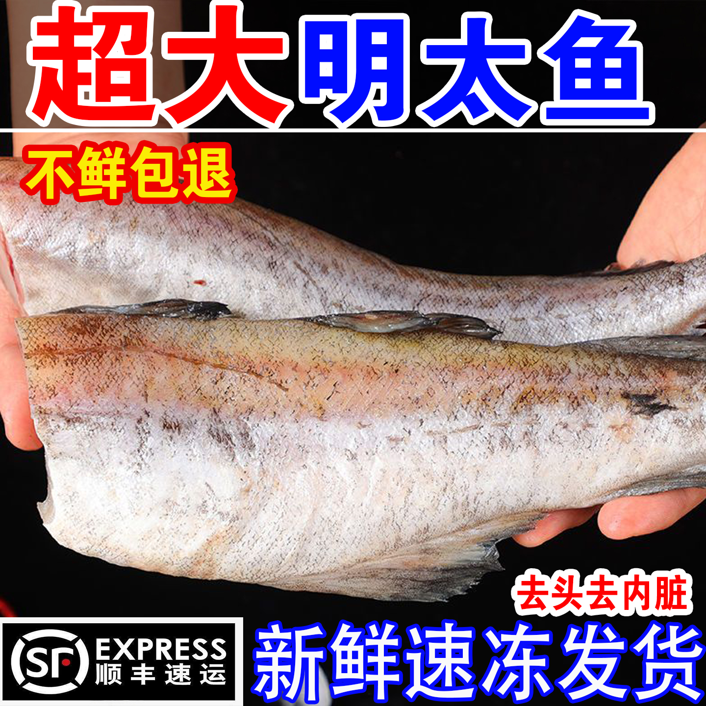 明太鱼新鲜冷冻深海狭鳕鱼海鱼整条棒棒鱼宝宝辅食无头鳕鱼