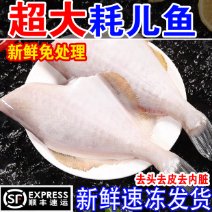 耗儿鱼中小号冰鲜扒皮鱼新鲜剥皮鱼大号冷冻马面鱼商用批发火锅料