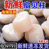 扇贝柱原浆活剥新鲜冷冻元 贝冰鲜贝类海鲜水产江瑶带子贝柱鲜瑶柱