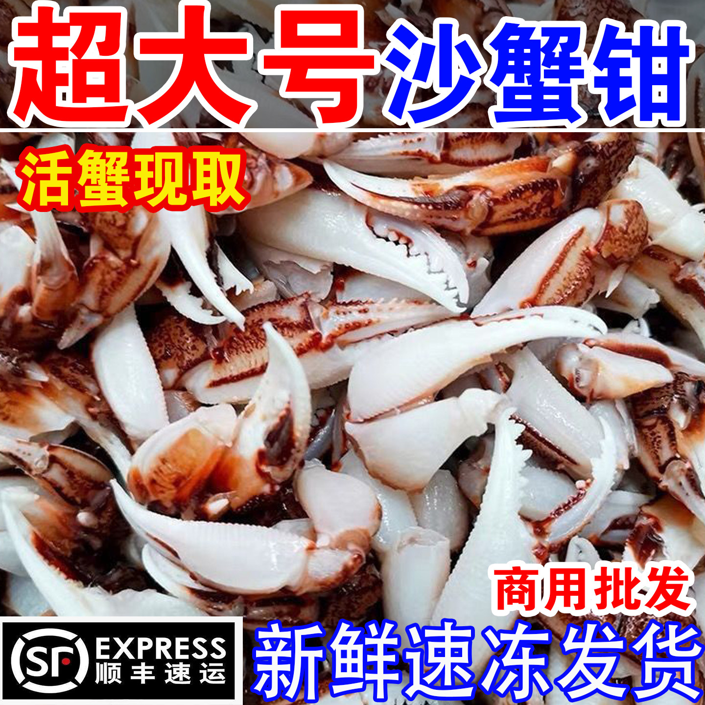 沙蟹钳新鲜蟹爪大号螃蟹腿脚醉蟹钳梭子蟹钳捞汁原料商用海鲜批发