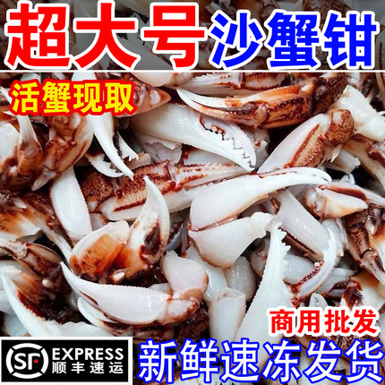 沙蟹钳新鲜蟹爪大号螃蟹腿脚醉蟹钳梭子蟹钳捞汁原料商用海鲜批发