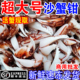 沙蟹钳新鲜蟹爪大号螃蟹腿脚醉蟹钳梭子蟹钳捞汁原料商用海鲜批发