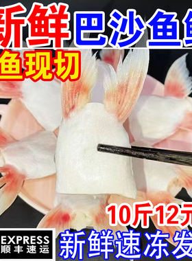 巴沙鱼鱼鳍新鲜冷冻鱼划水鱼油海鲜鱼翅鱼下巴生鲜鱼肥油水产商用