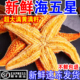 海星满籽新鲜鲜活海鲜水产速冻野生海捕生鲜食用海星五角星