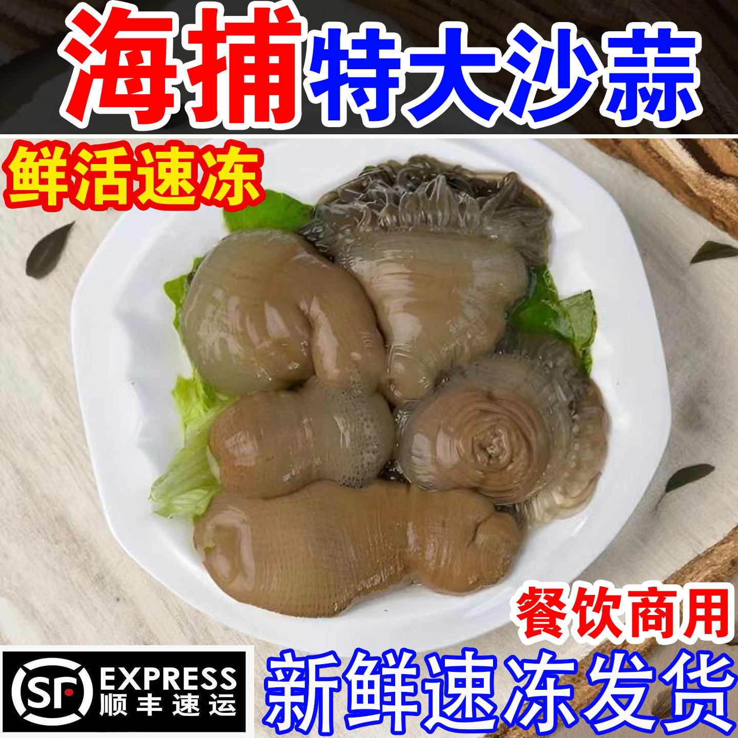 新鲜野生沙蒜海葵食用鲜活冷冻2斤海花海肠沙蒜豆面食材商用海鲜