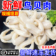 鸟贝肉新鲜去沙去内脏冷冻水产捞汁海鲜火锅食材烧烤商用水产