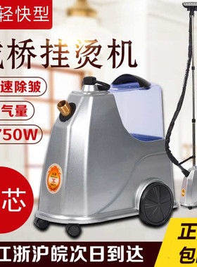 域桥挂烫机正品铜芯E8家用挂式蒸汽熨斗大功率服装店用熨烫衣服机