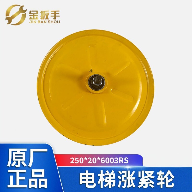 奥德普电梯涨紧轮250*20*6003RS图片