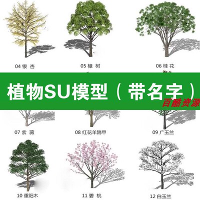 su高质量3d植物模型带名称花草树乔木灌木合集素材库