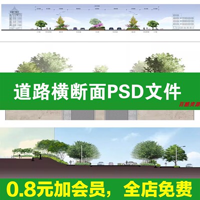道路横断面图平立面剖面图标准段市政公园景观节点大样ps素材psd