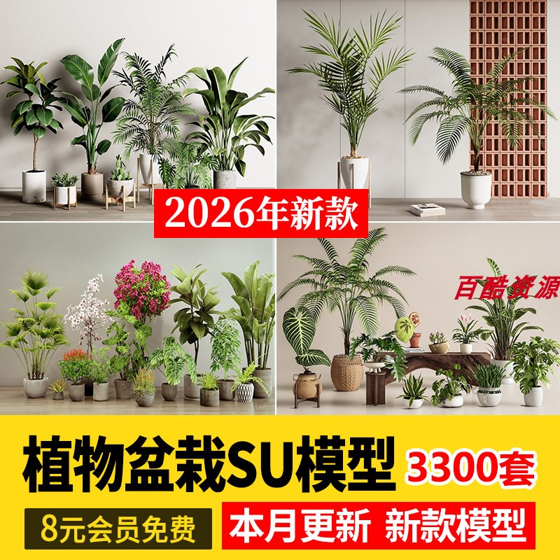 绿植植物花盆盆栽盆景松树单体草设计素材/源文件