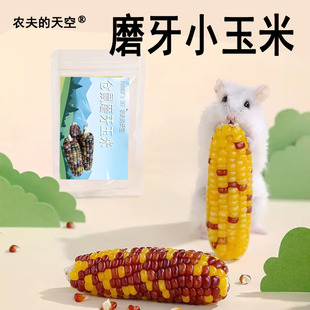 农夫的天空仓鼠磨牙小玉米磨牙棒颗粒饱满洁齿粮食花枝鼠龙猫兔子