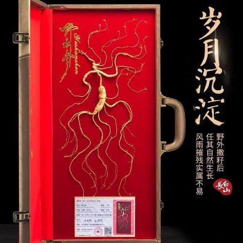 长白山野山参礼盒装林下参