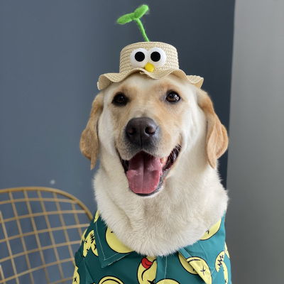 宠物帽 图片 价格 多少钱 淘宝天猫券 找一找券网