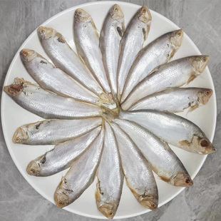 连云港赣榆特产黄鲫鱼油扣马口海鱼新鲜黄尖子毛扣鱼油扣 3斤包邮