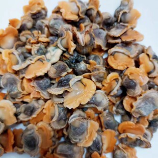 连云港赣榆特产新鲜毛蛤肉活剥蛤蜊肉毛蚶子嘎啦肉赤贝肉 2斤包邮